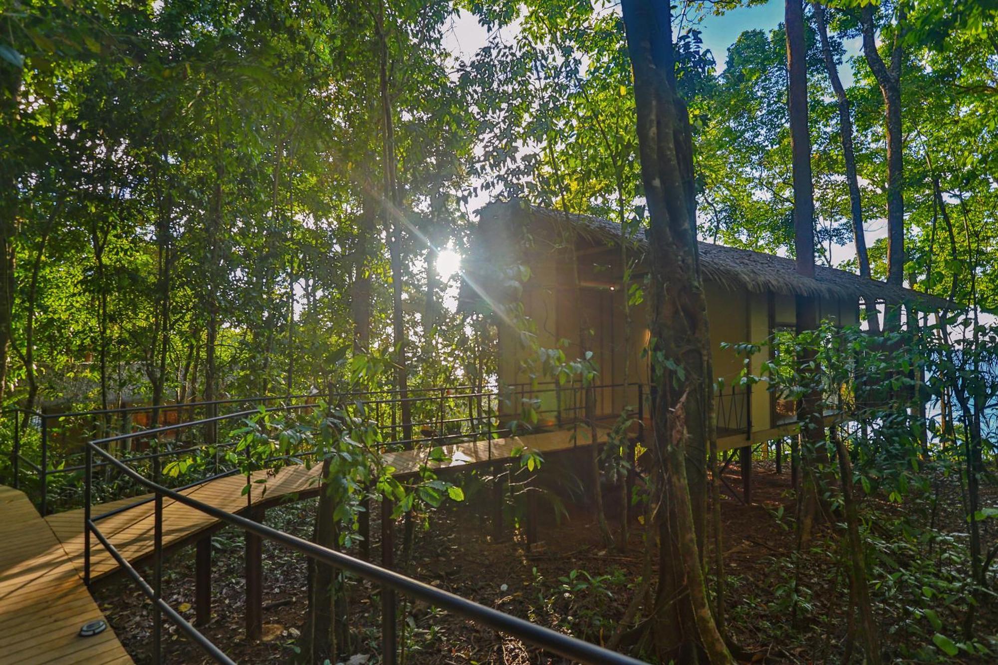 Corcovado Wilderness Lodge By Scp San Pedrillo Bagian luar foto