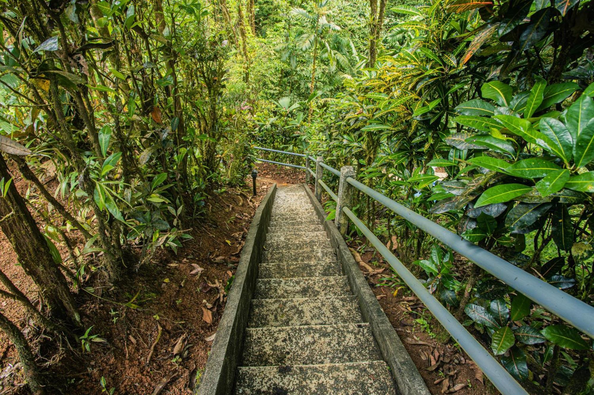 Corcovado Wilderness Lodge By Scp San Pedrillo Bagian luar foto